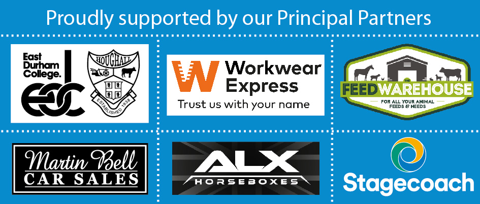 Our Principal Partners