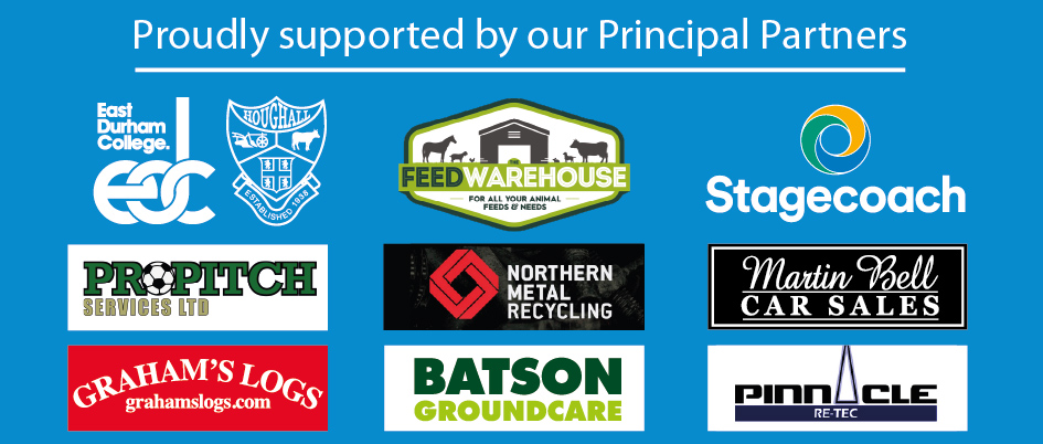 Our Principal Partners