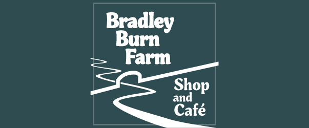 Bradley Burn